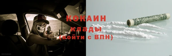 стаф Алексин