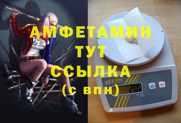 стаф Алексин