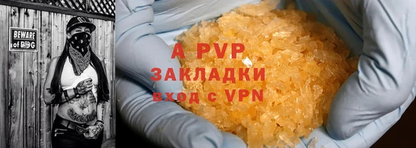 стаф Алексин