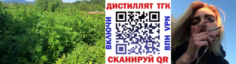 Дистиллят ТГК концентрат Железногорск-Илимский